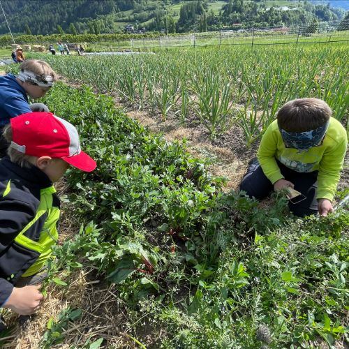 Workshop "Vom Acker auf den Teller"