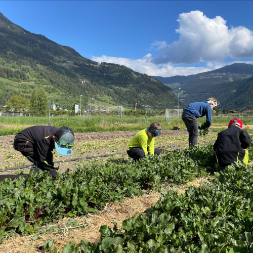 Workshop "Vom Acker auf den Teller"