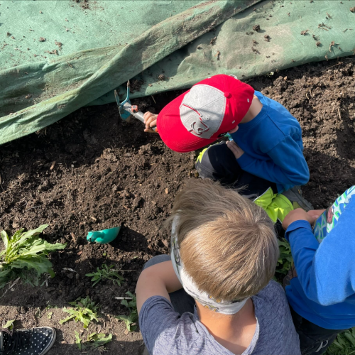 Workshop "Vom Acker auf den Teller"