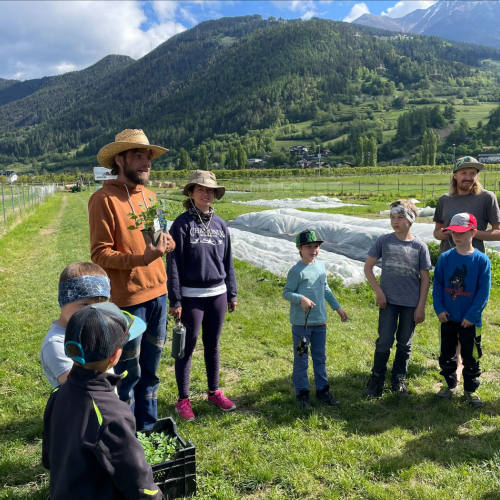 Workshop "Vom Acker auf den Teller"