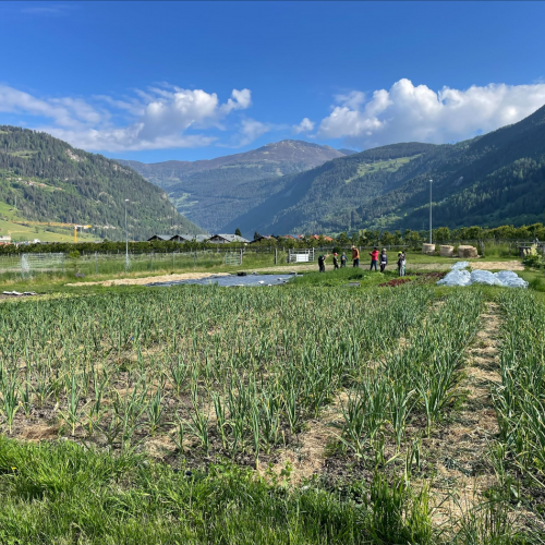 Workshop "Vom Acker auf den Teller"
