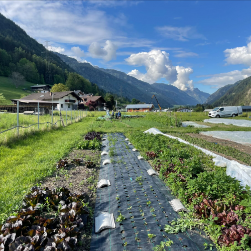 Workshop "Vom Acker auf den Teller"