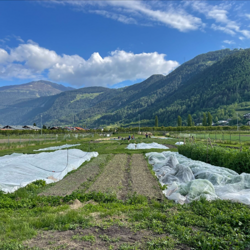 Workshop "Vom Acker auf den Teller" Landschaftsfoto
