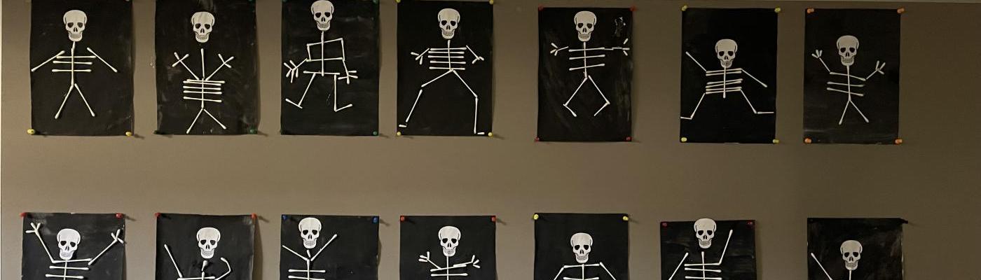 Skelett-Zeichnungen 