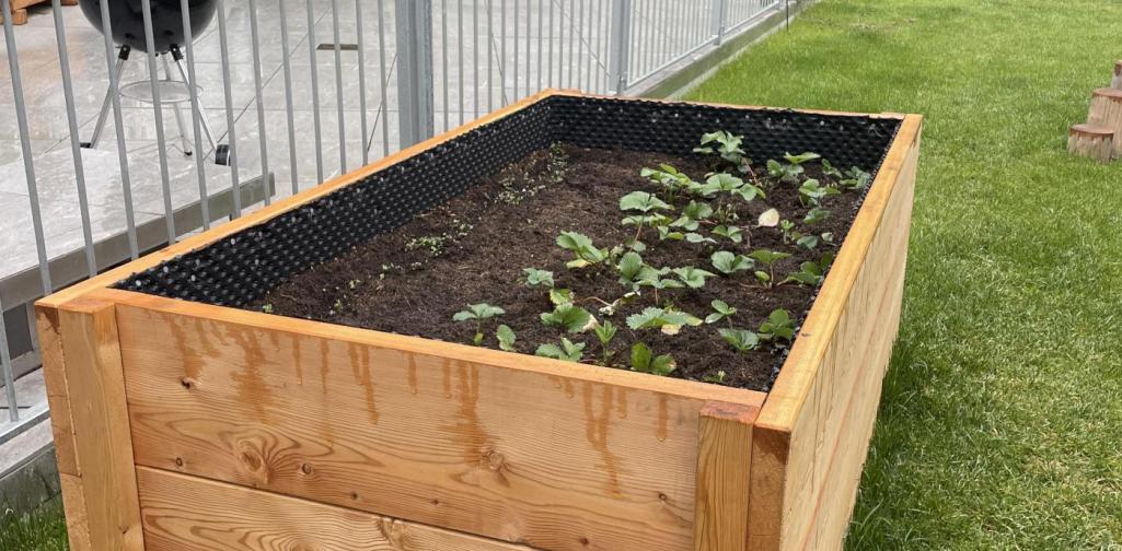 Hochbeet 2