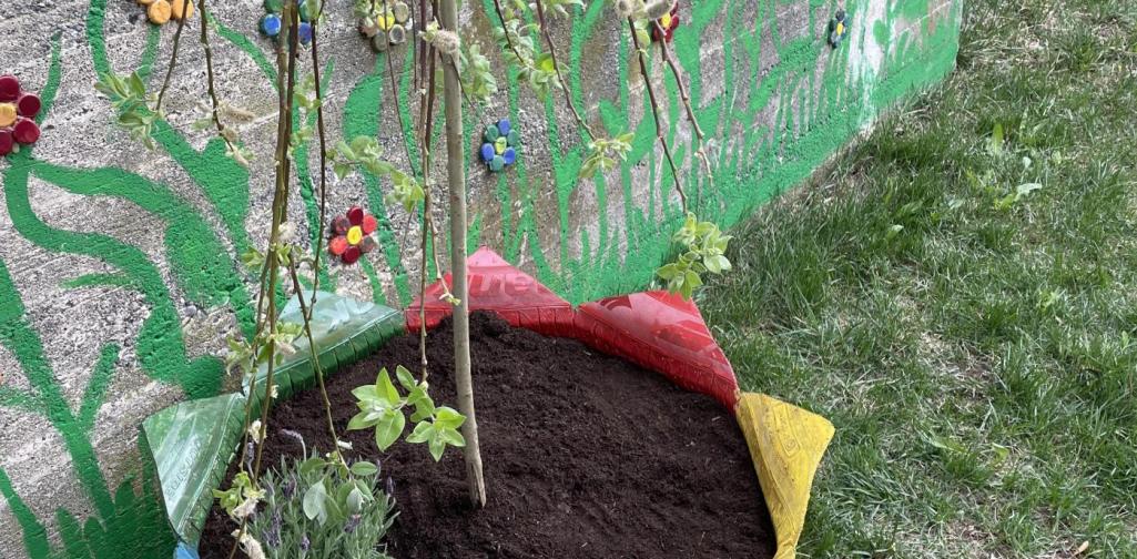 Bepflanzung recycelter Blumentopf